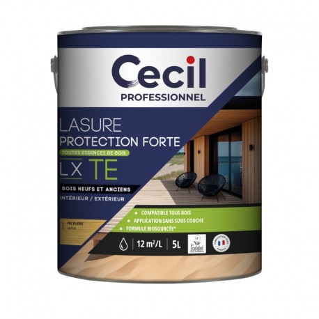 LASURE PROTECTION FORTE LX TE - 5L